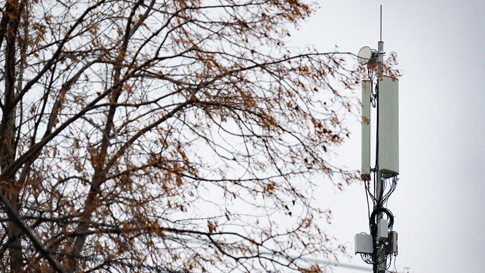    Фото: Ruslan Yarocky/globallookpress.com