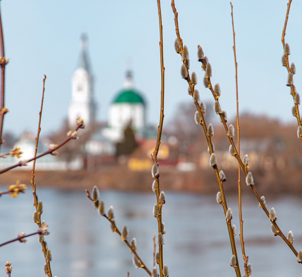 Погода в Твери 11 марта. Дождь