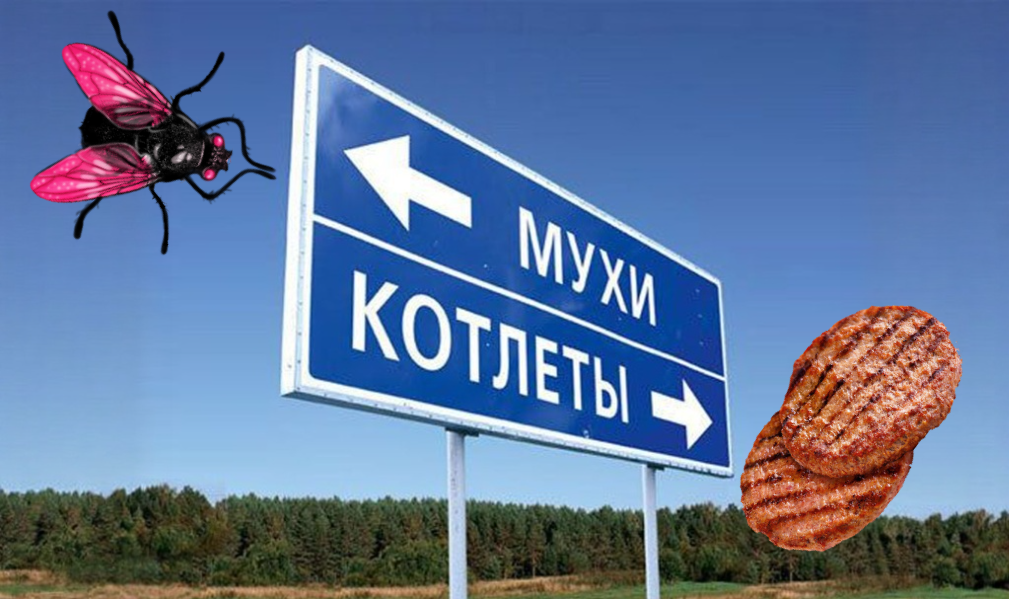 Чем пословица отличается от поговорки