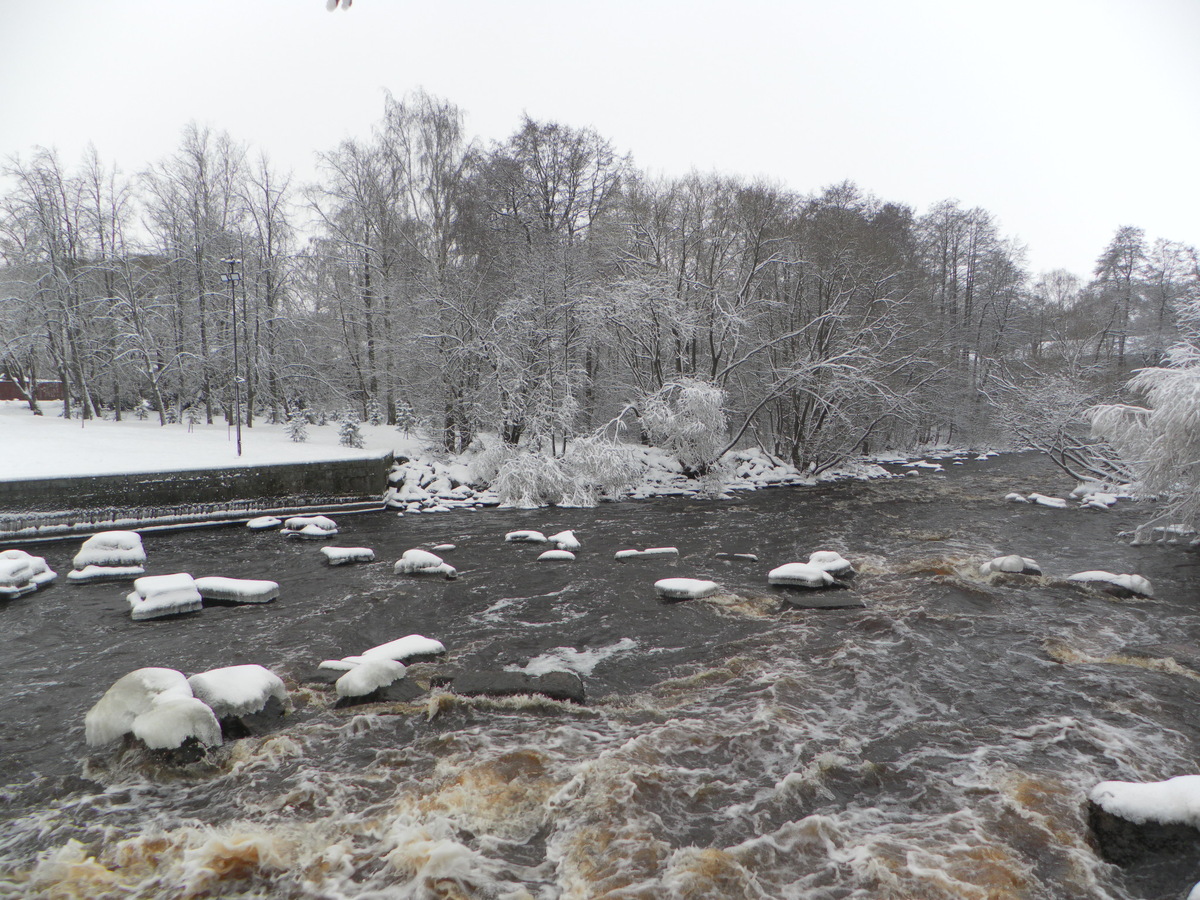 Водосливной канал в Сестрорецке, речка Шипучка