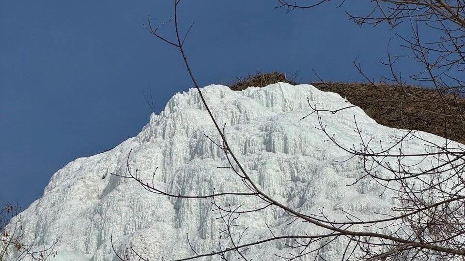     Источник: gorodprima.ru