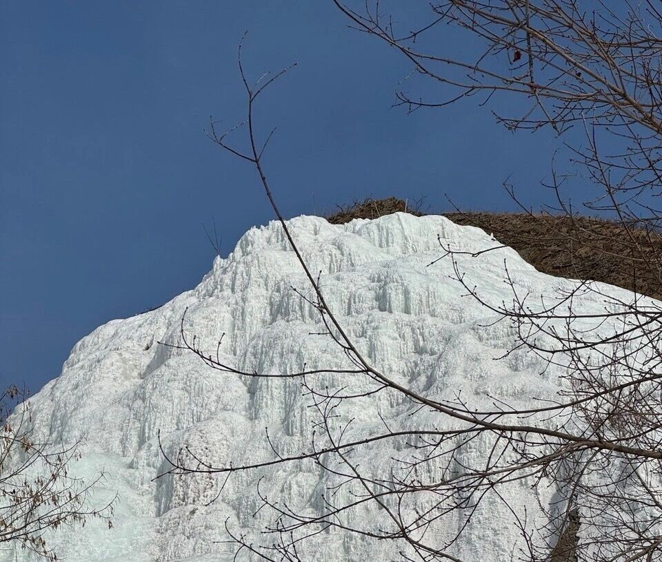     Источник: gorodprima.ru