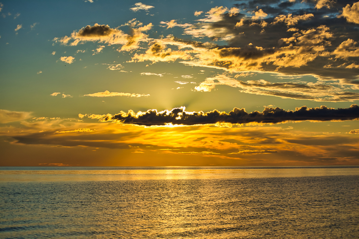 Фото для карточки. Северодвинск июль 2022. Фото автора.