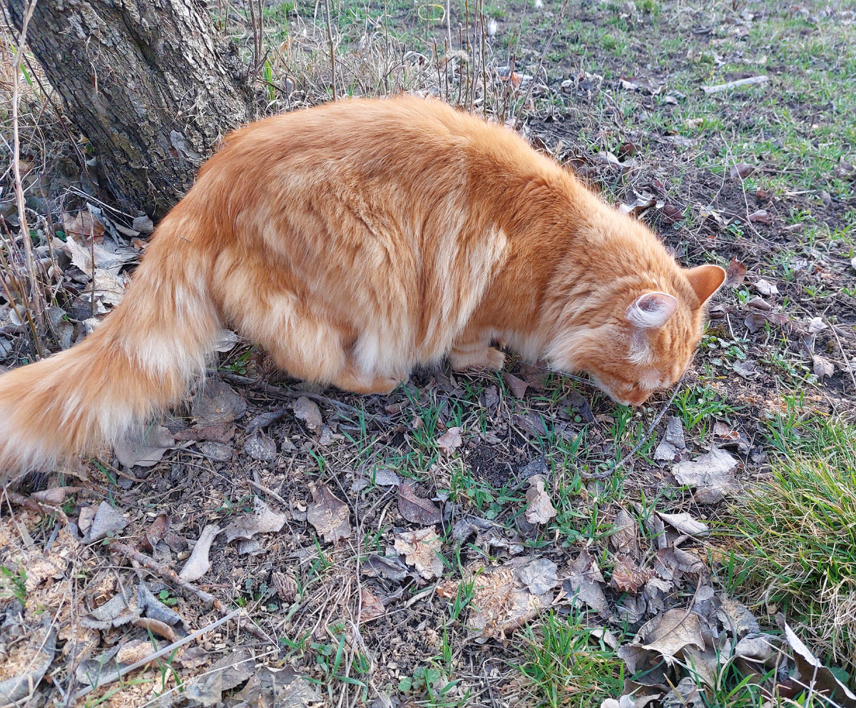 Фото авторв