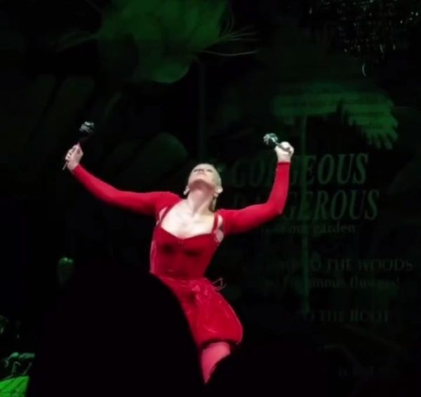    Софья Эрнст на сцене театра, фото: телеграм