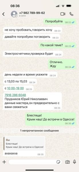    Тина Канделаки показал переписку с мошенниками, фото: телеграм