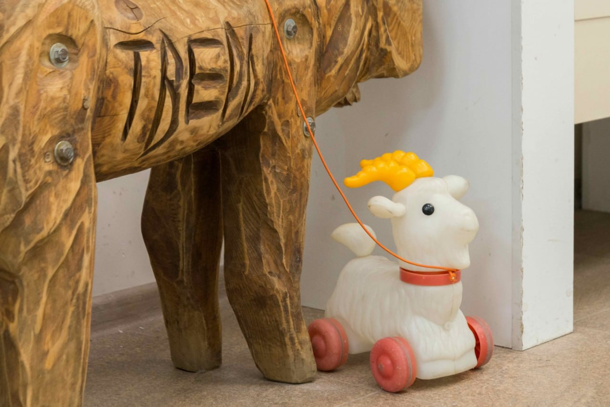 Фото: Сергей Козлов