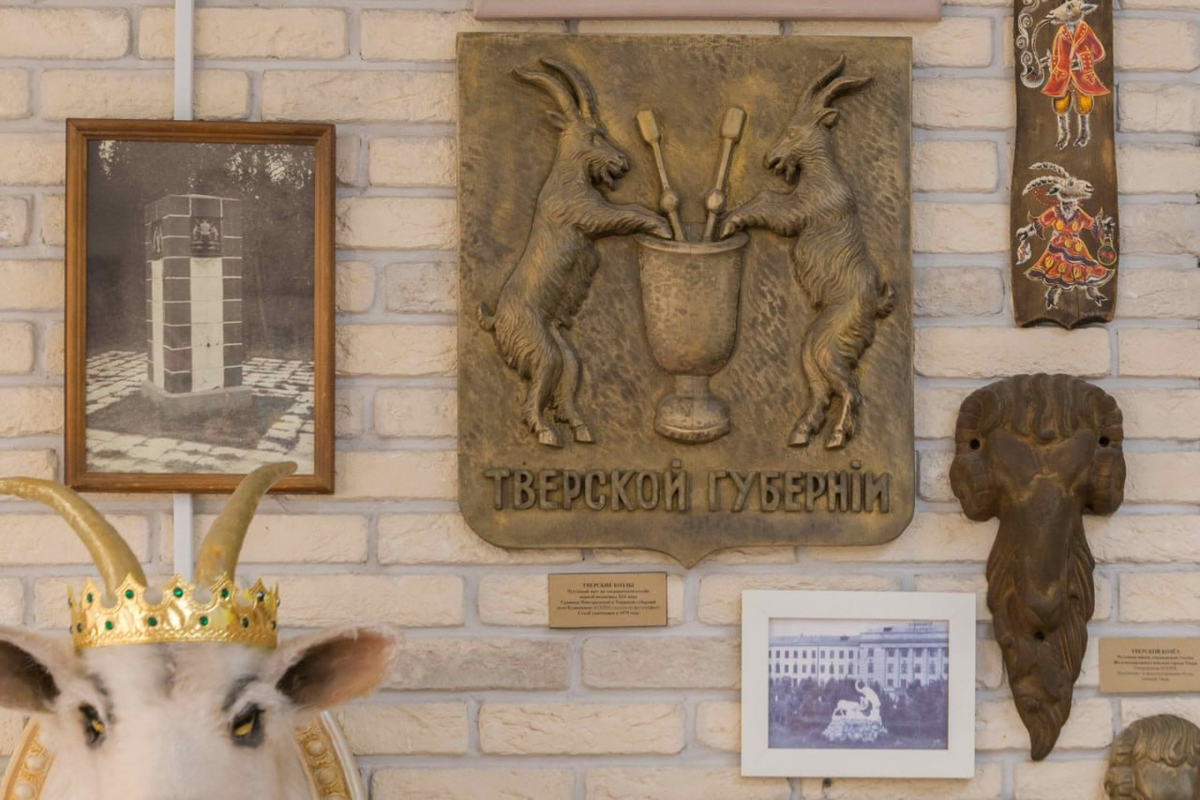 Фото: Сергей Козлов