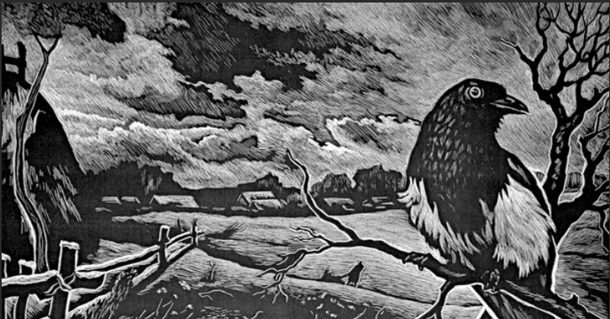 (Изображение взято из открытых источников) 