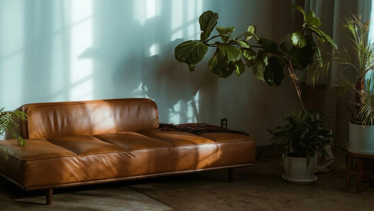     Автор: Unsplash