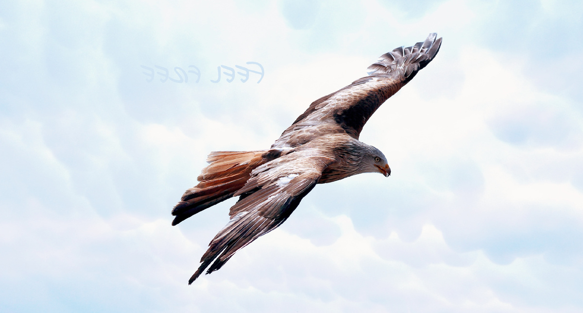 # стихия воздуха, #Меркурий