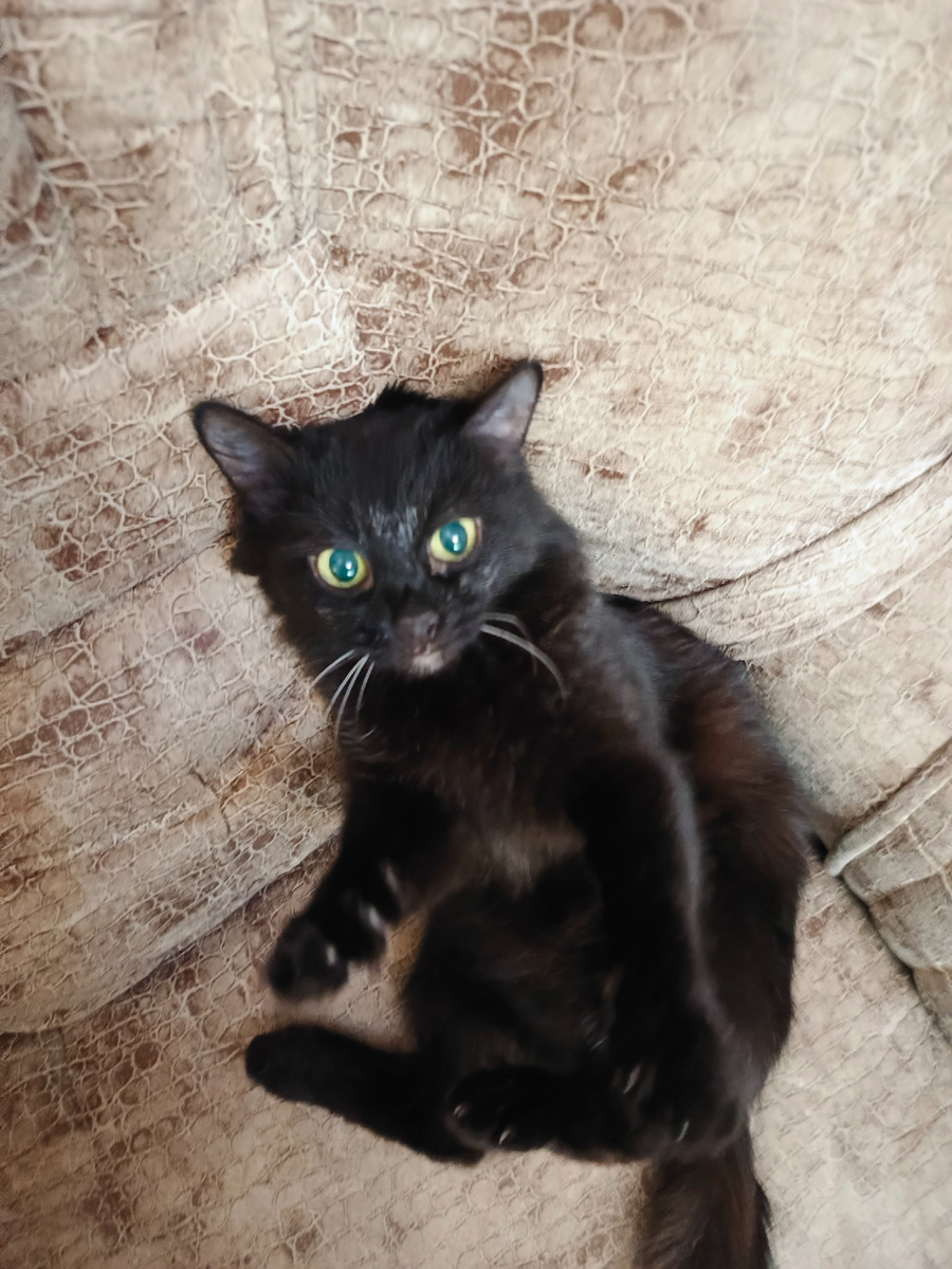 Сама нежность