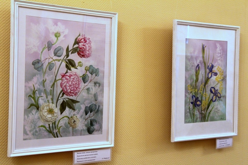 Фото из общедоступных источников, социальной сети ВКонтакте