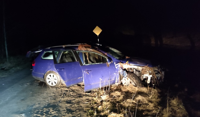 В Лунинецком районе машина упала в канал — погибла 17-летняя пассажирка
