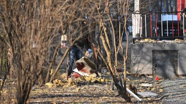    © РИА Новости . Илья Питалев