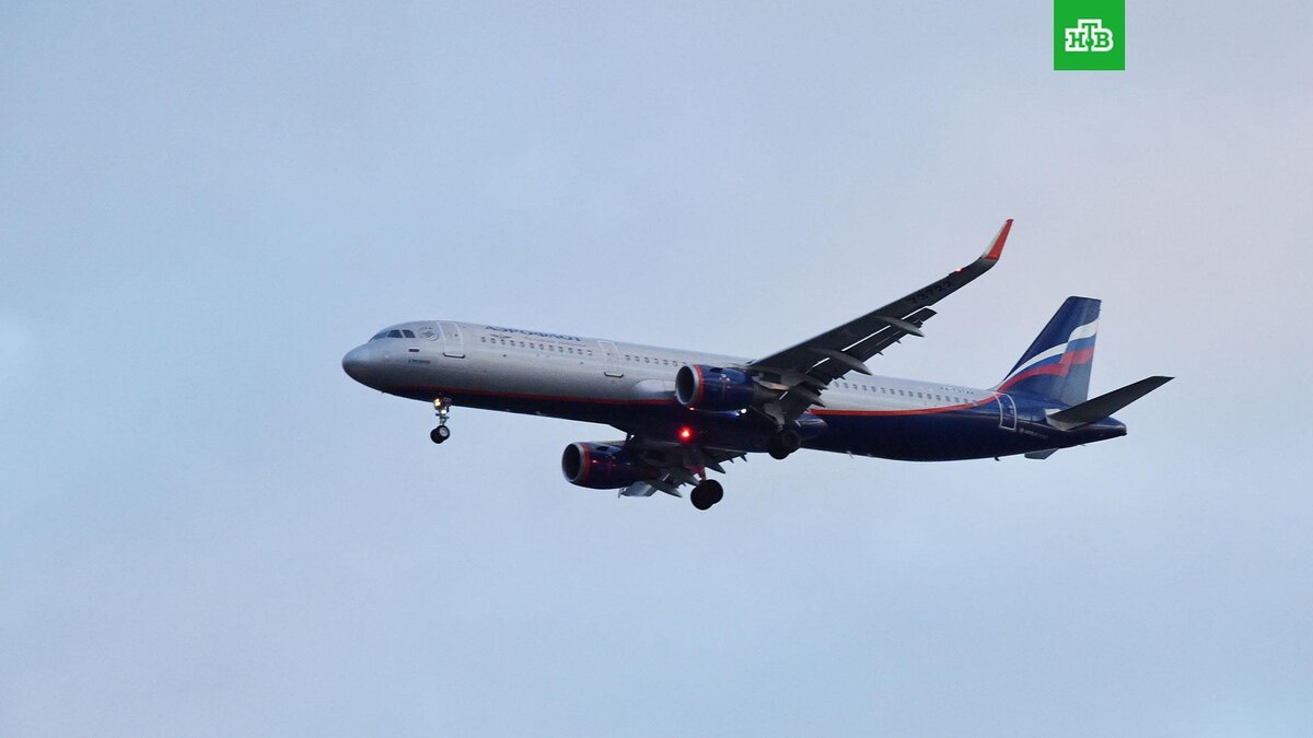    Фото: РИА Новости © 2025, Наталья Селиверстова