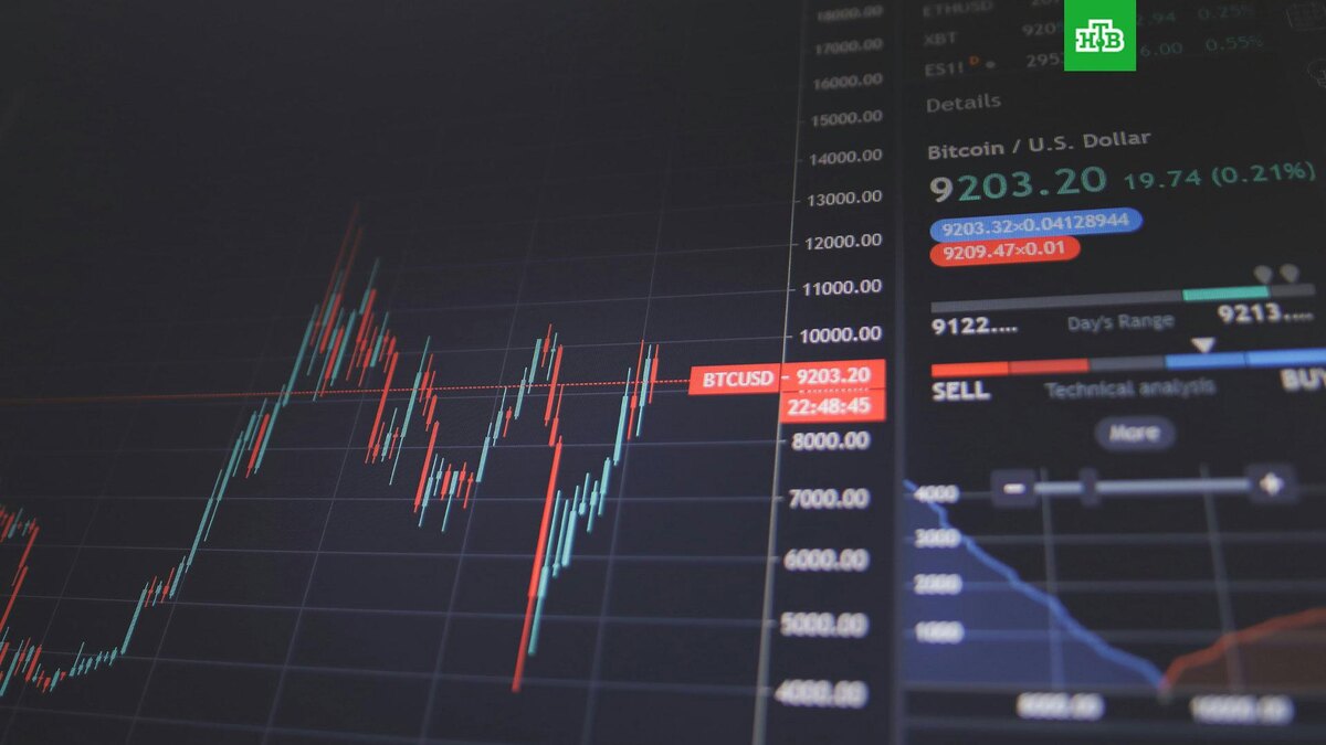    Фото: Nick Chong / unsplash.com