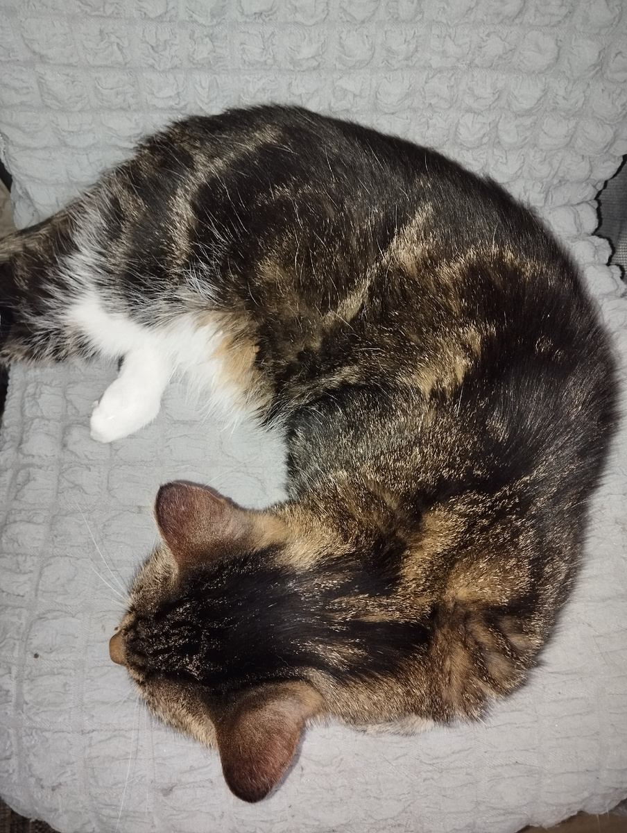 Лежал в разных местах, прятался, весь такой больной. Сил не было смотреть 