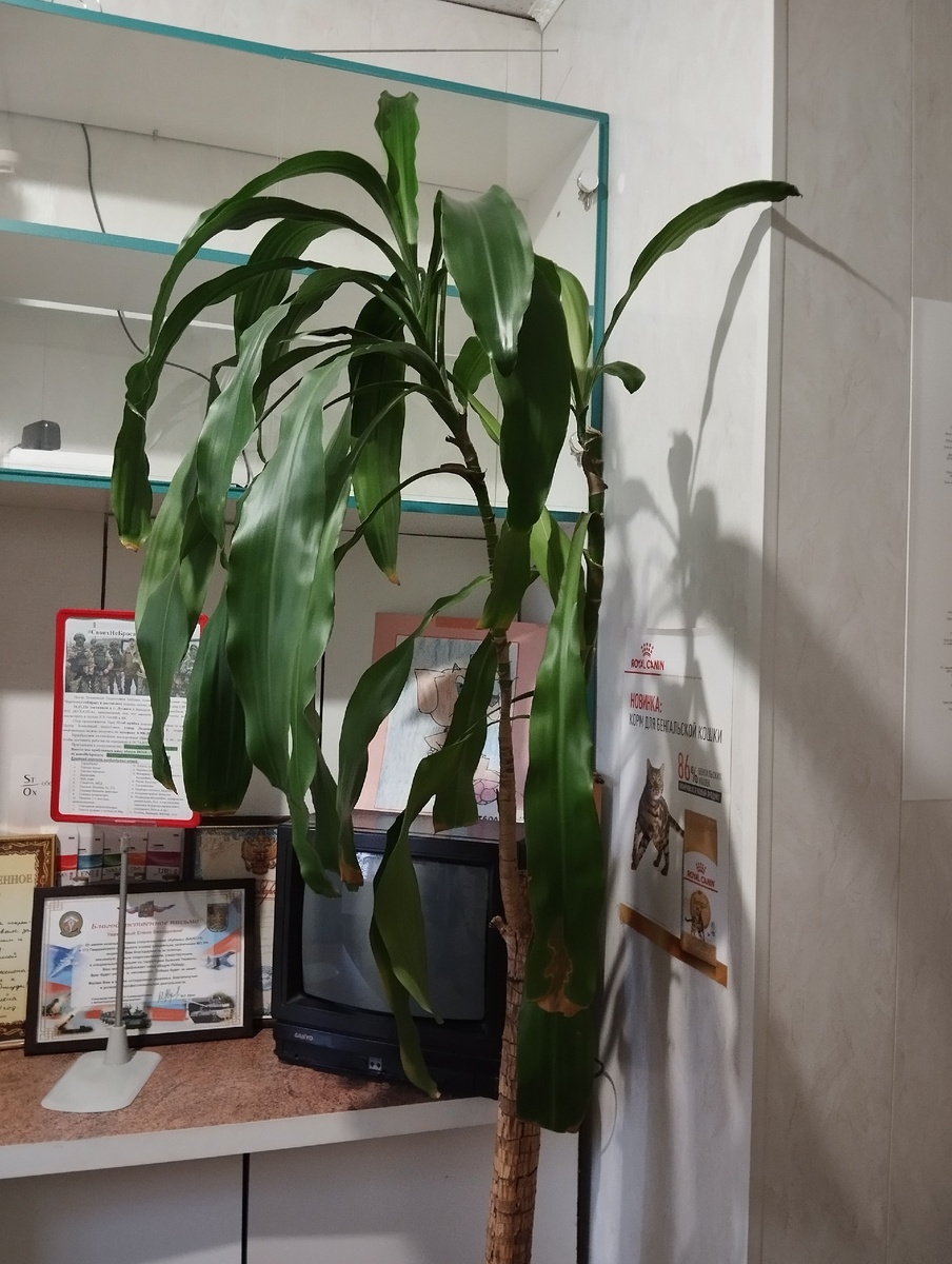 В клинике 8 Марта 