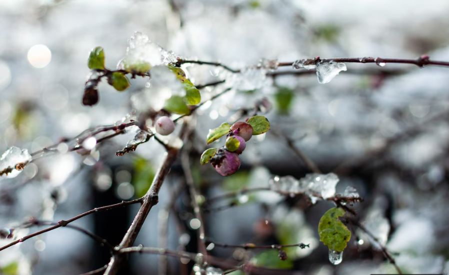 Фото: freepik / wirestock