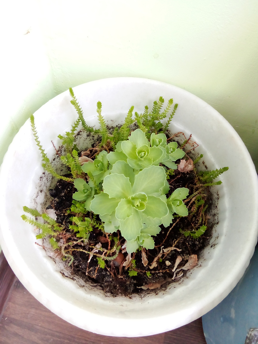 В статье все фото авторские