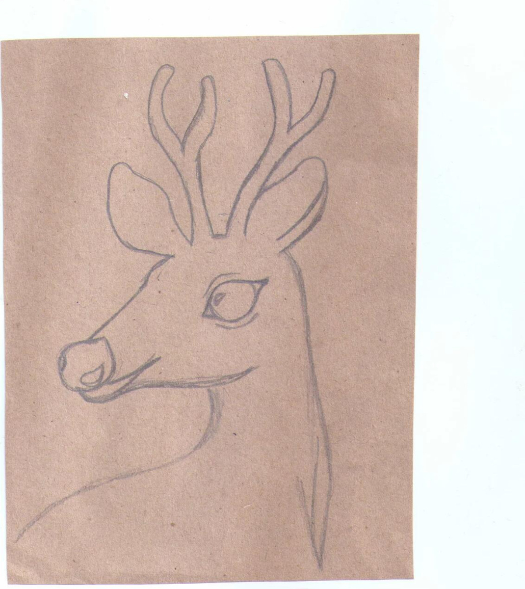 Рисунок @anechkalapikova (один ник во всех соцсетях)