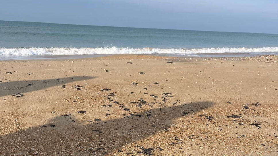 Фото: Оперативный штаб Краснодарского края