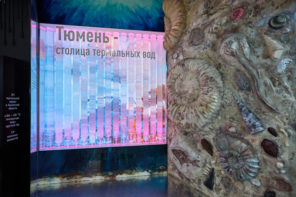 Стенд Тюменской области на выставке на ВДНХ | Фото предоставлено Департаментом общественных связей ТО