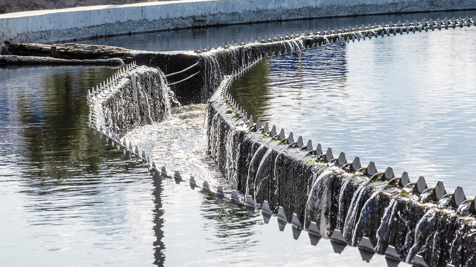 Фото: Игорь Елисеев / Коммерсантъ