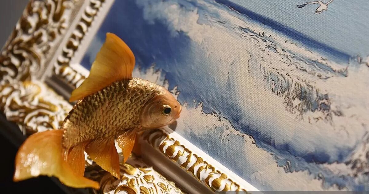 Екатерина Чеснокова / РИА Новости