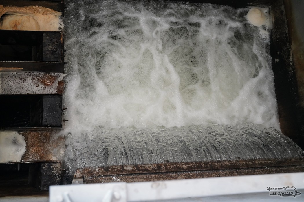    Фото: Лидия Аникина © ИА «Уральский меридиан»