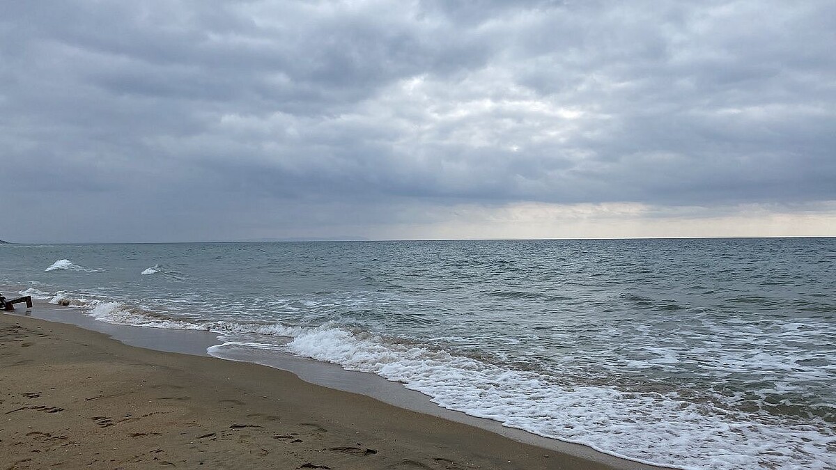    Фото: телеканал «Краснодар»