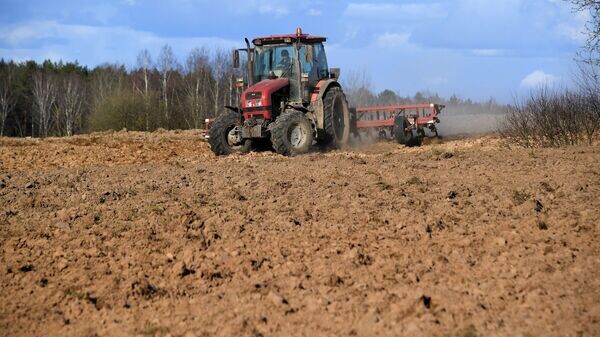    © Sputnik / Виктор Толочко