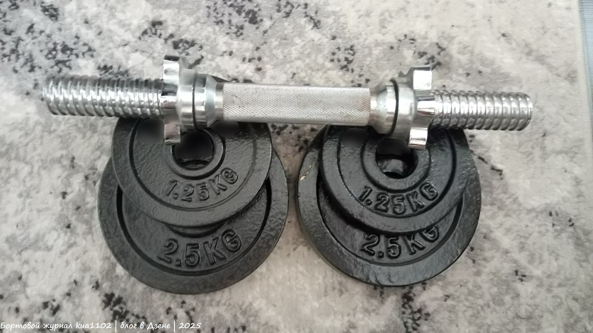 Стал я подключать к тренировкам и работу с гантелями. Составил 8 различных упражнений, стартовал пока что с 2.5 кг, думаю, что выйду на 7.5 кг (плюс гриф сколько-то весит, он металлический). Автор фотографии kua1102