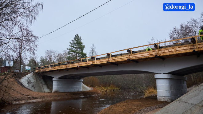 Фото: Dorogi_lo/telegram