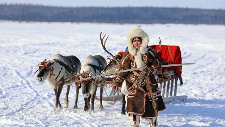    Фото: Grigorii Pisotsckii/Shutterstock/Fotodom