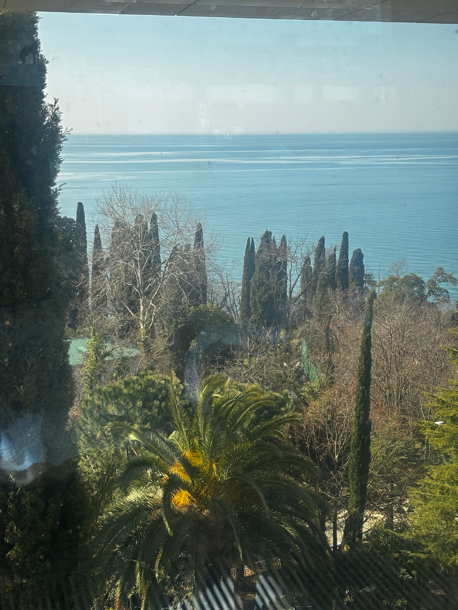 Сочи вид на море из окна