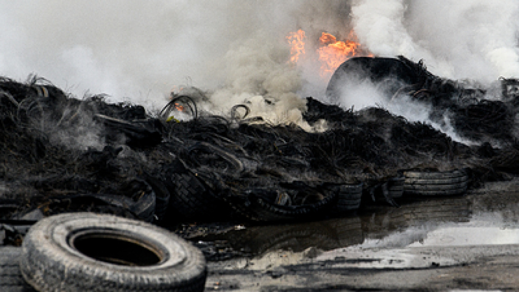    Ilya Moskovets/Globallookpress