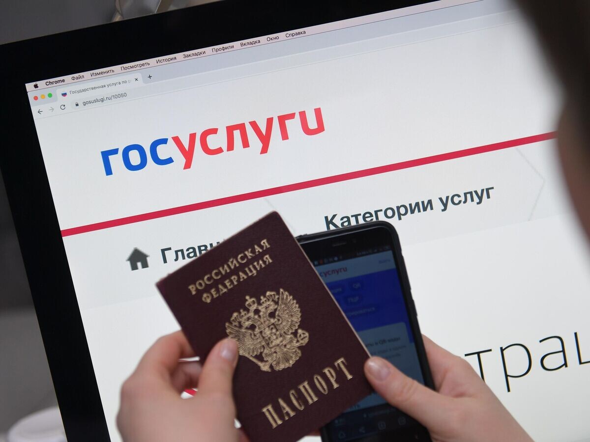    Справочно-информационный интернет-портал Госуслуги© РИА Новости / Владимир Трефилов