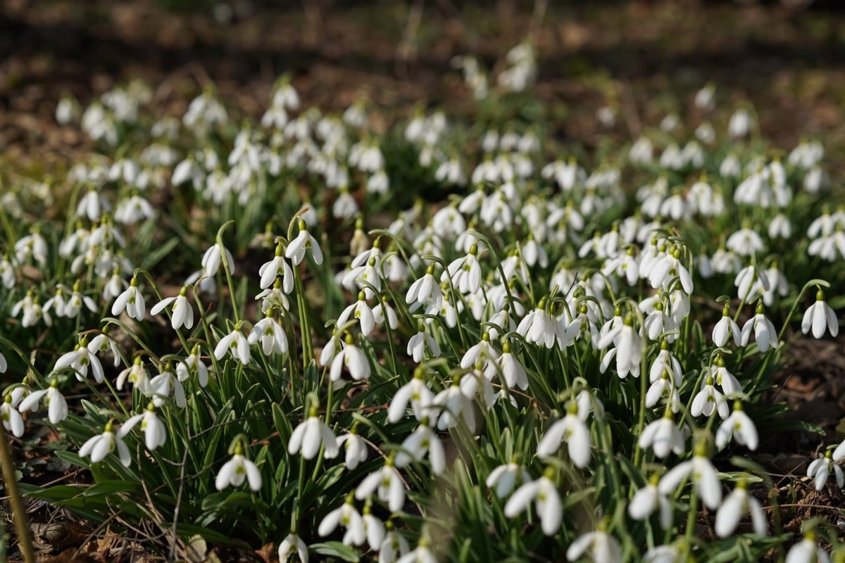 Фото: медиацентр КБГУ