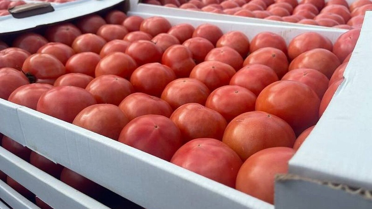    Фото: t.me/rsn_yug