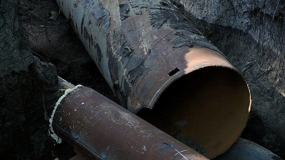    Фото: телеканал «Краснодар»