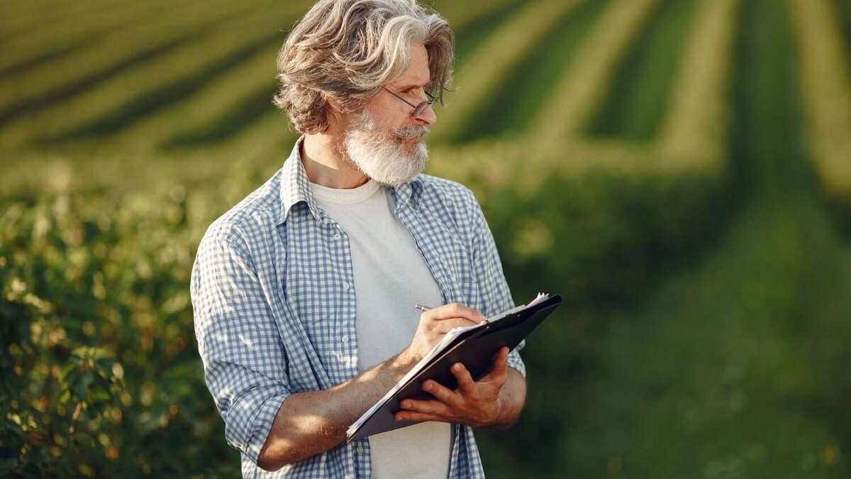     Автор: prostooleh/freepik