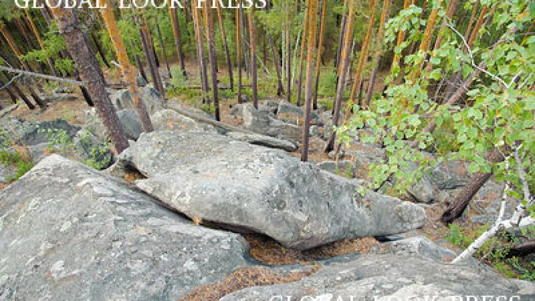    Dmitry Chasovitin/Globallookpress