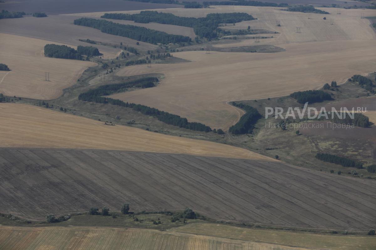    19 опасных биоям было ликвидировано в Нижегородской области в прошлом году