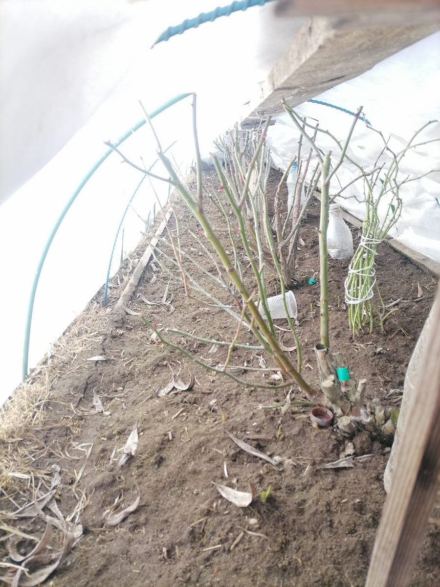 укрытие со шрабами