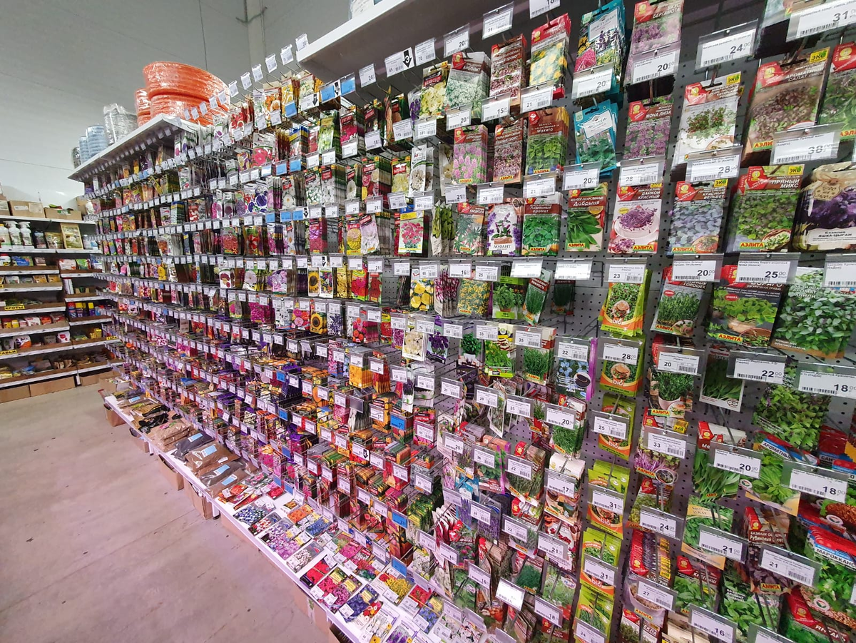 Если еще не сеяли - вперед в магазин за семенами!