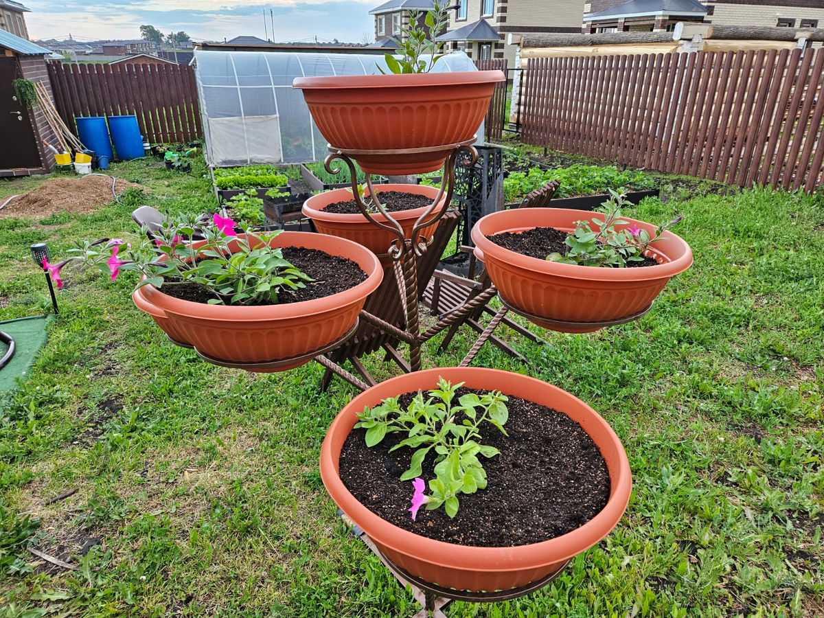 Как из такого...