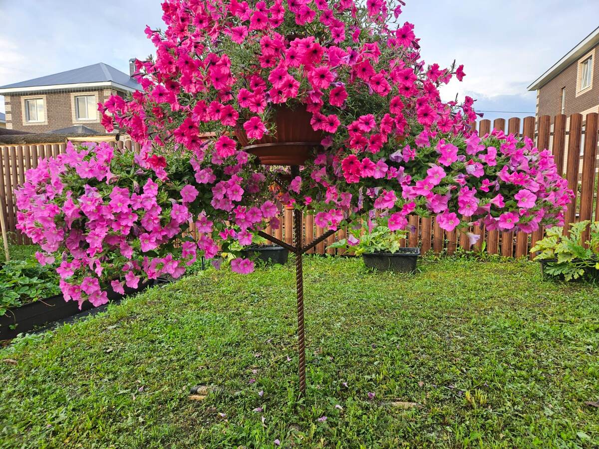 Получить такое