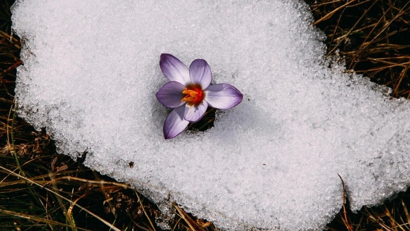 Фото: @EyeEm / freepik.com